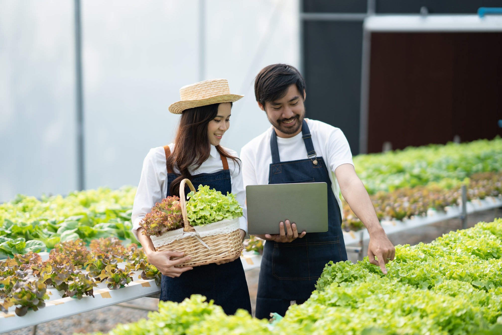Asian man and asian woman gardeners working at hydroponics farm together while using laptop computer